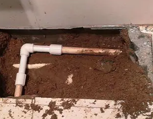 堆龙德庆测漏水哪家好