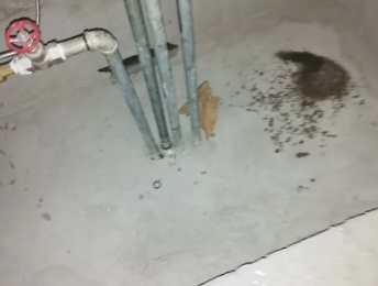 堆龙德庆卫生间测漏水价格明细