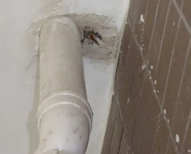 堆龙德庆漏水检测哪家好